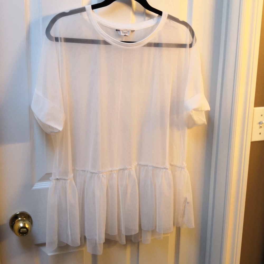 Next Sheer Overlay, sz large, Last Chance!
